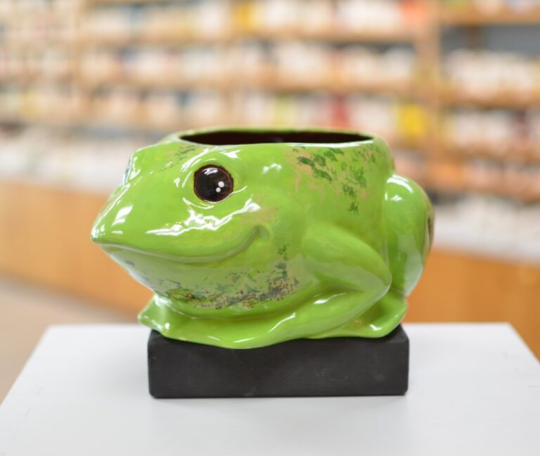 Frog planter