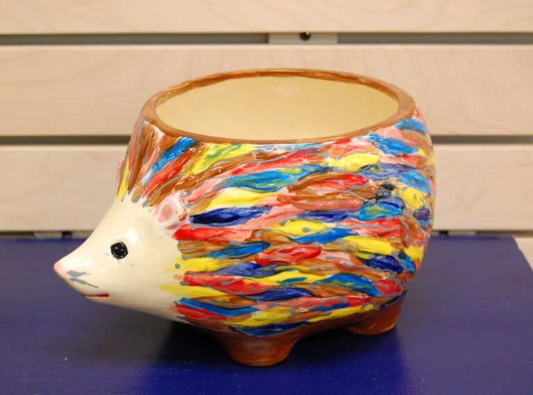 Rainbow hedgehog planter