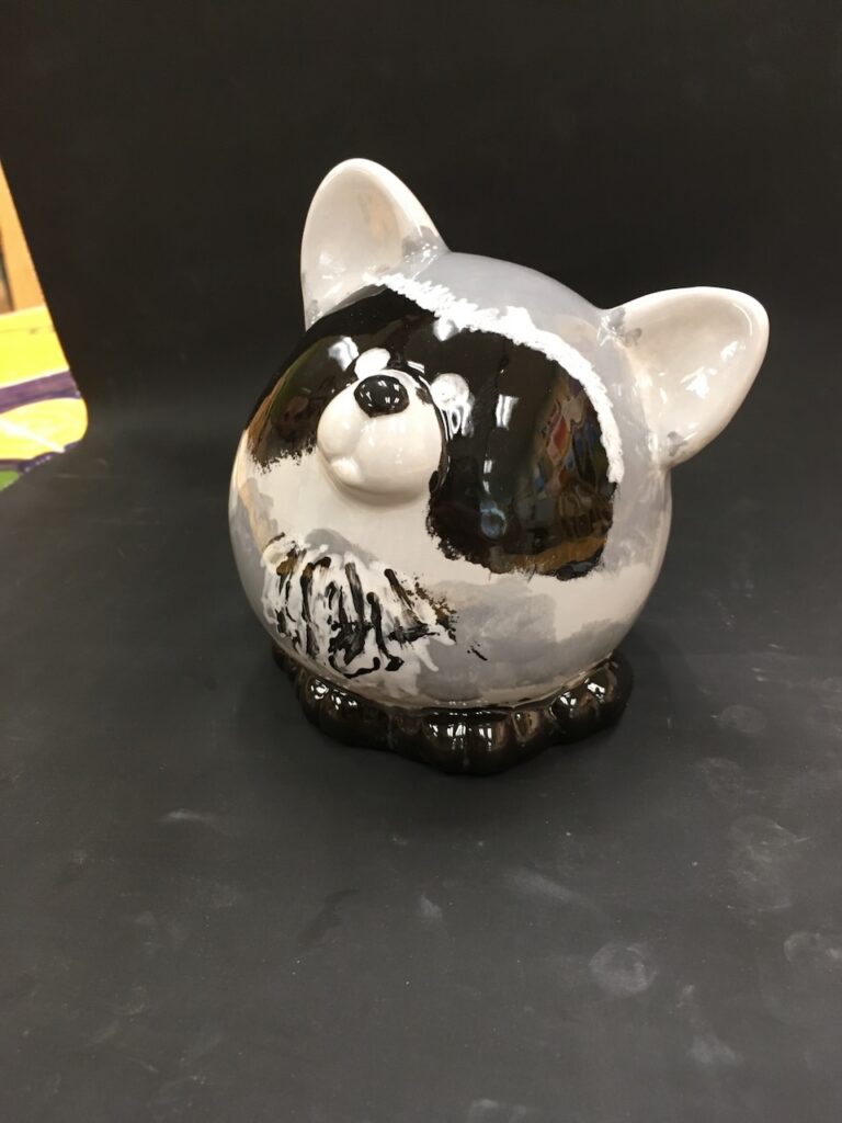Raccoon bank